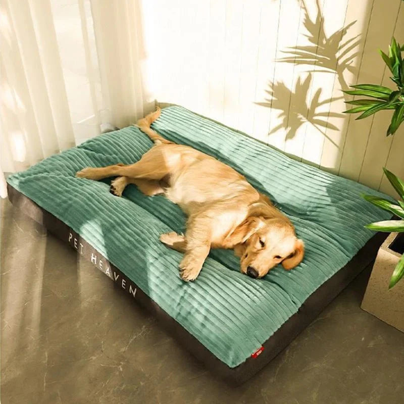 Orthopedic Dog Bed — High-Density Foam with Washable Cover 5