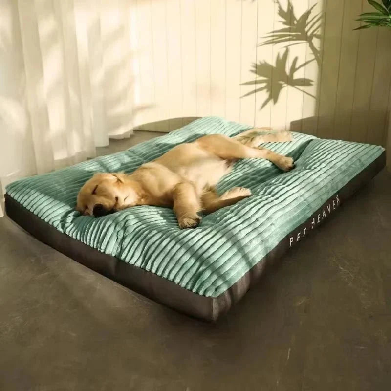 Orthopedic Dog Bed — High-Density Foam with Washable Cover 6