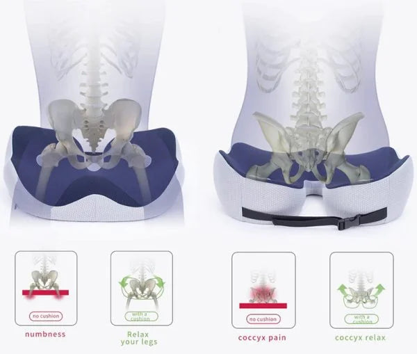 Memory Foam Seat Cushion — Sit Bone & Coccyx Pain Relief 5