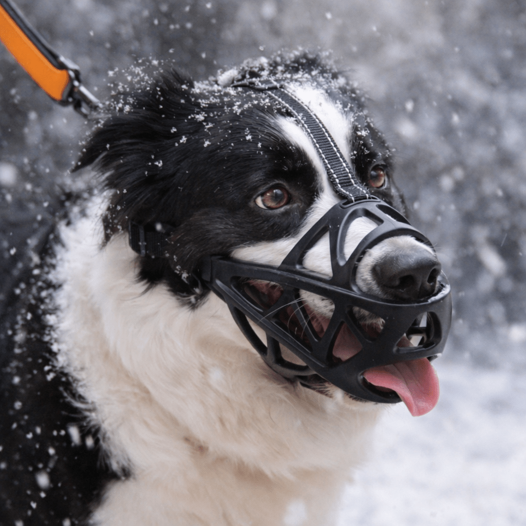 Breathable Soft Dog Muzzle — Lightweight, 4 Sizes 1