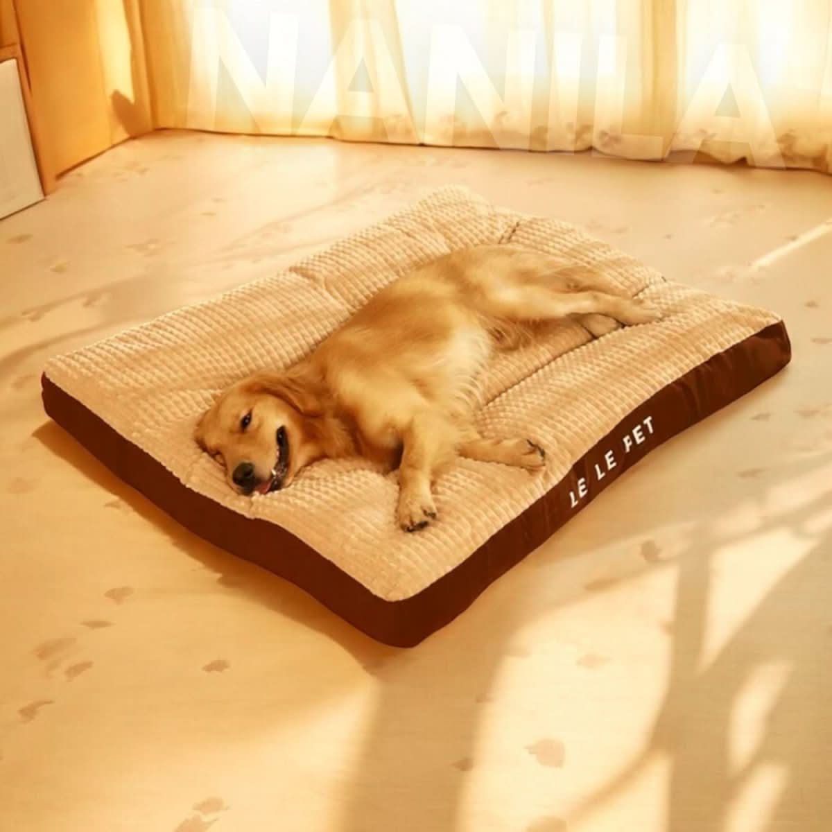 Orthopedic Dog Bed — High-Density Foam with Washable Cover 3