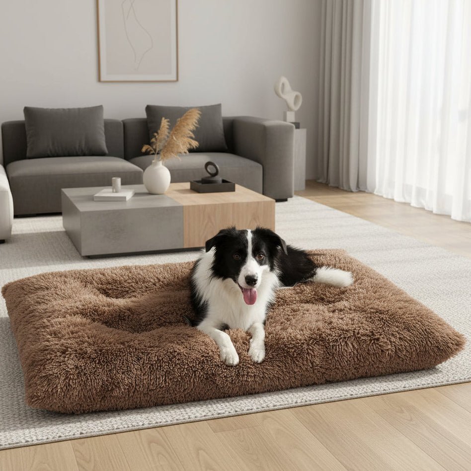 Extra Soft Rectangular Dog Bed — Plush Cotton Cover, 4 Sizes 1