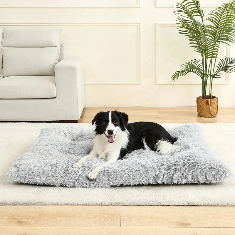 Extra Soft Rectangular Dog Bed — Plush Cotton Cover, 4 Sizes 2