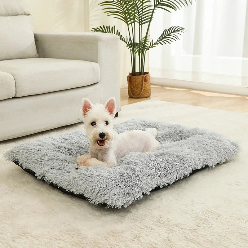 Extra Soft Rectangular Dog Bed — Plush Cotton Cover, 4 Sizes 3