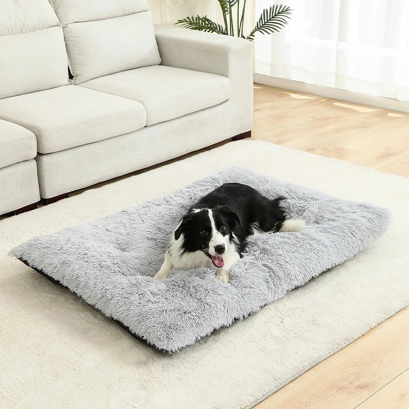 Extra Soft Rectangular Dog Bed — Plush Cotton Cover, 4 Sizes 4