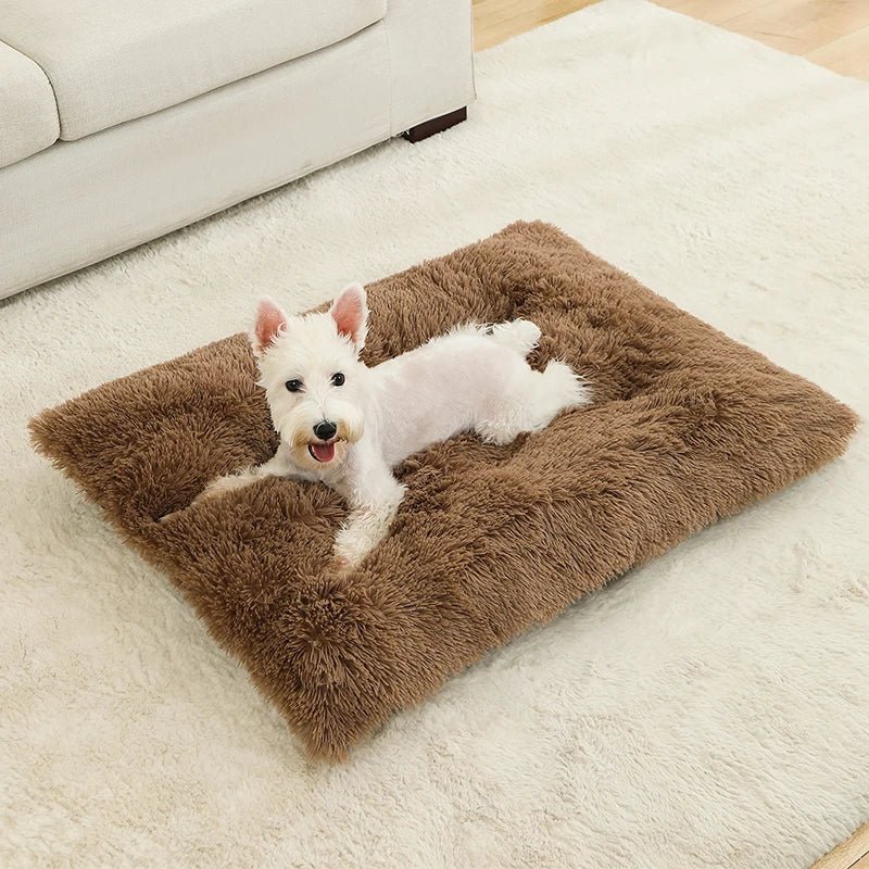Extra Soft Rectangular Dog Bed — Plush Cotton Cover, 4 Sizes 5