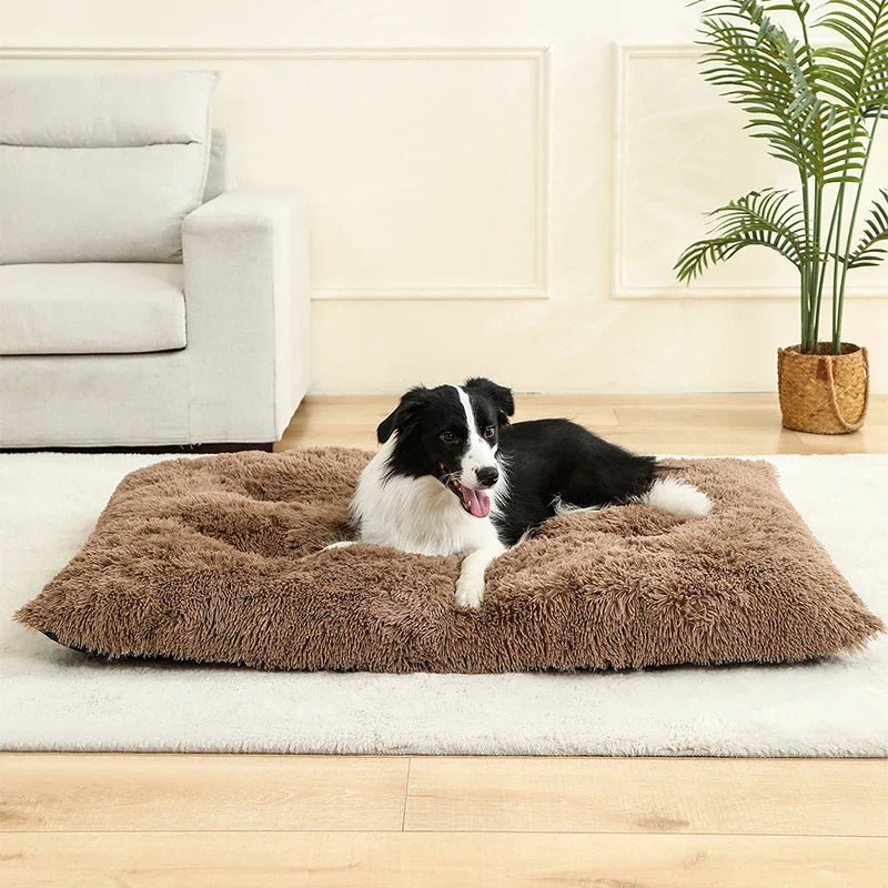Extra Soft Rectangular Dog Bed — Plush Cotton Cover, 4 Sizes 6