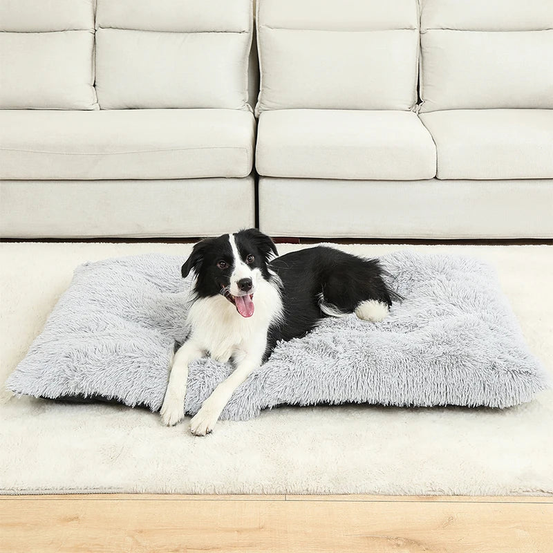 Extra Soft Rectangular Dog Bed — Plush Cotton Cover, 4 Sizes 7