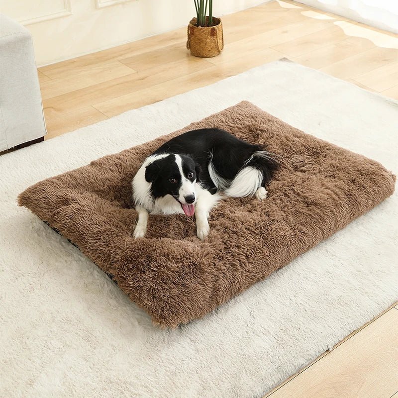Extra Soft Rectangular Dog Bed — Plush Cotton Cover, 4 Sizes 9