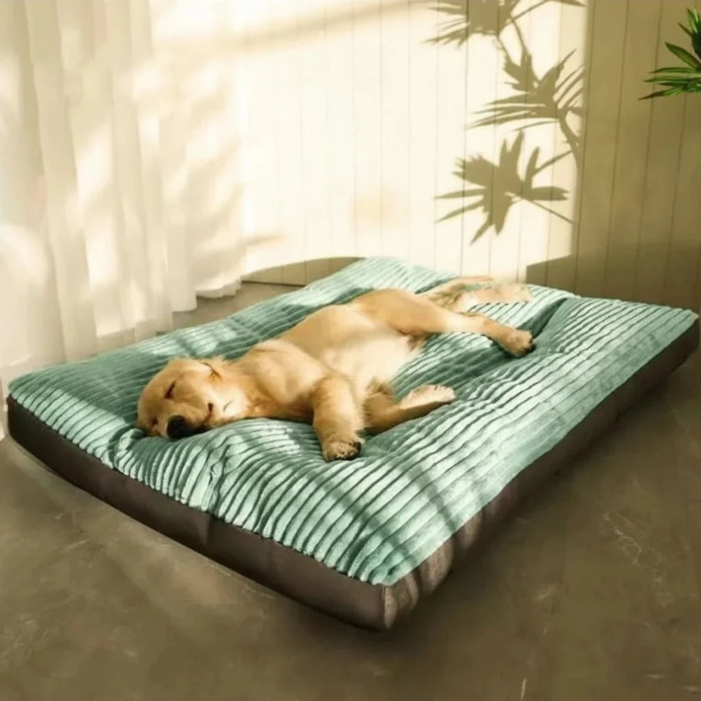 Orthopedic Plush Dog Bed — Joint-Relief Support for All Dogs 3