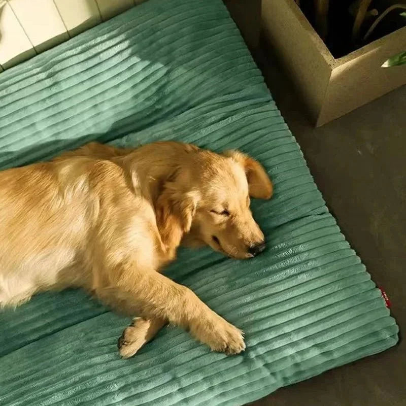 Orthopedic Plush Dog Bed — Joint-Relief Support for All Dogs 4