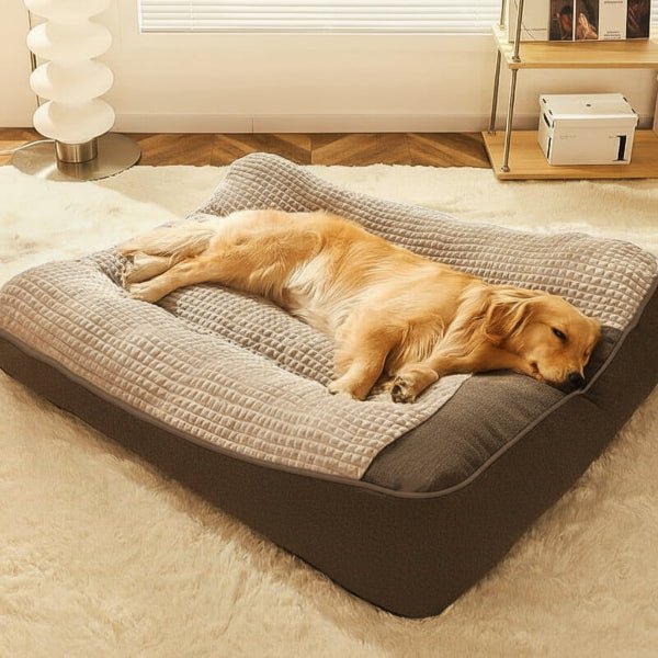 Large Orthopedic Dog Bed — Scratch-Resistant Washable Cover 1