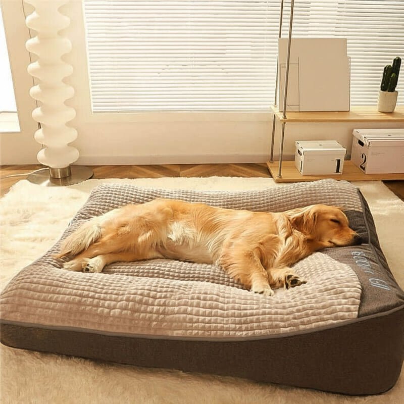 Large Orthopedic Dog Bed — Scratch-Resistant Washable Cover 2