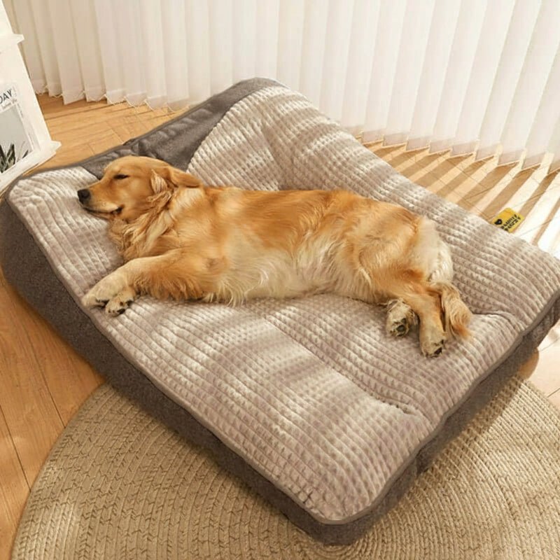 Large Orthopedic Dog Bed — Scratch-Resistant Washable Cover 3