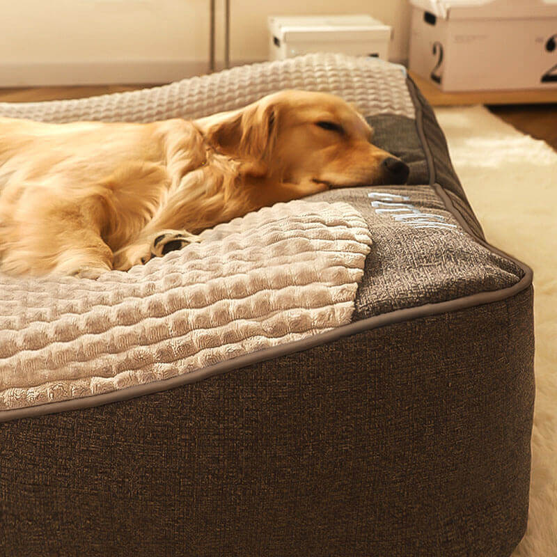 Large Orthopedic Dog Bed — Scratch-Resistant Washable Cover 4