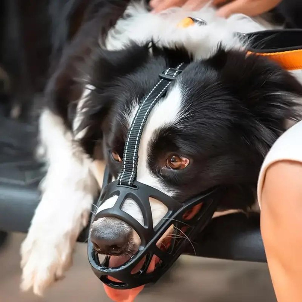 Breathable Soft Dog Muzzle — Lightweight, 4 Sizes 3