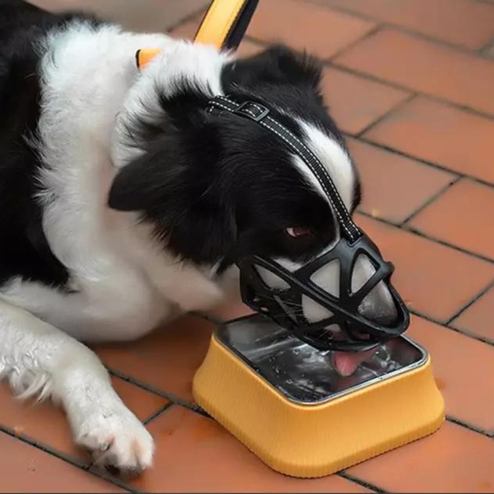 Breathable Soft Dog Muzzle — Lightweight, 4 Sizes 11
