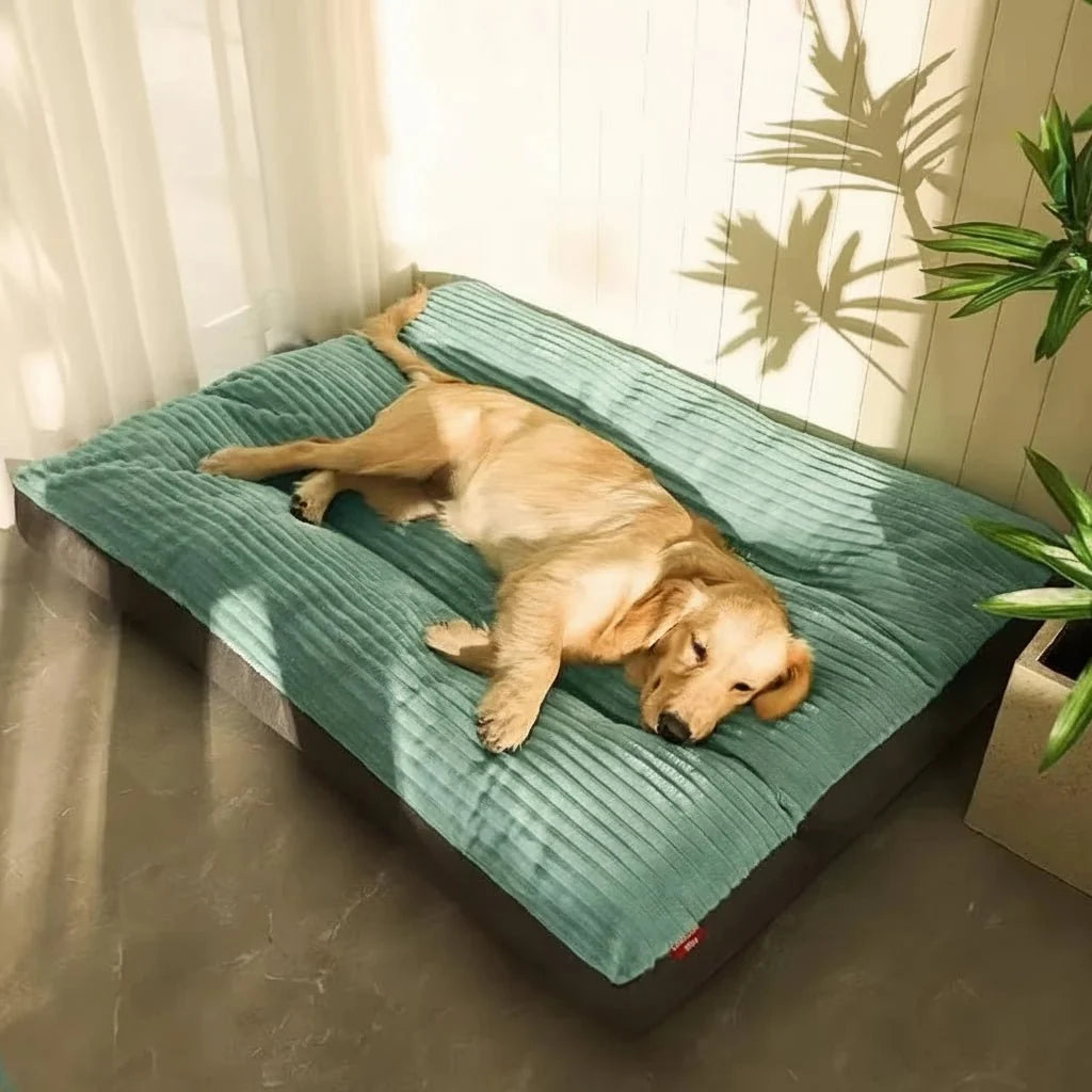 Orthopedic Plush Dog Bed — Joint-Relief Support for All Dogs 1
