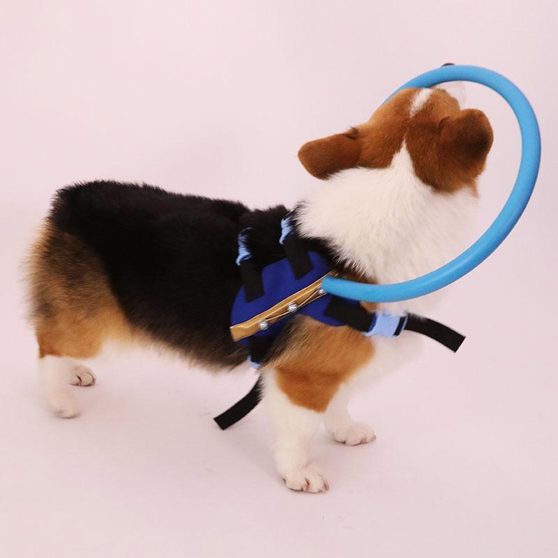 Blind Dog Bumper Collar Harness — Anti-Collision Mobility Aid 4