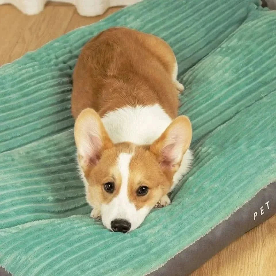 Orthopedic Plush Dog Bed — Joint-Relief Support for All Dogs 2